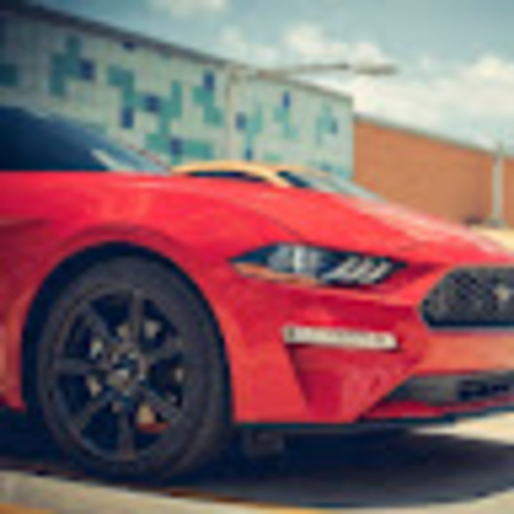 Meet your Posher, Shepard - Picture 1 of 1